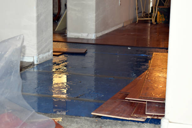 Professional Basement Flood Cleanup technician working in Rockville, UT