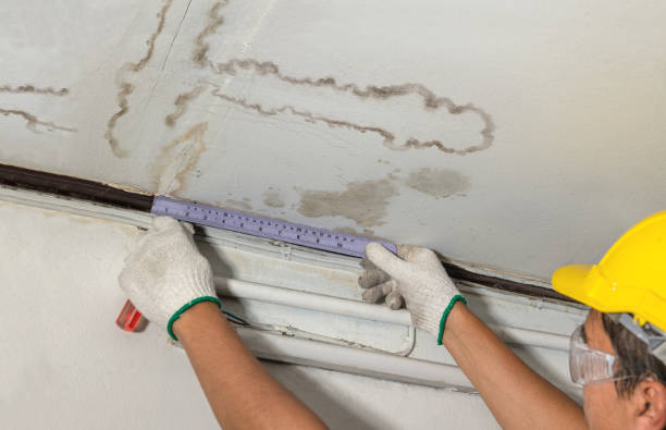 Reliable Basement Flood Cleanup contractor in Rockville, UT by Aqua Guard Water Damage